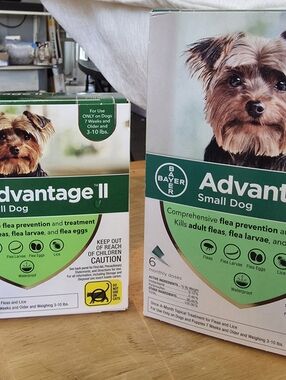 Advantage II Small Dog Flea Drops 3-10 lbs 10 Monthly Doses - 2 Box Bundle